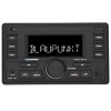 Магнитола Blaupunkt PALMA 190 BT