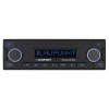 Магнитола Blaupunkt SKAGEN 400 DAB