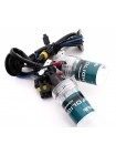 Комплект ксенону Infolight Expert PRO H1 4300K 35W