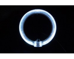 Кільця підсвічування (Ангельські очі) BAXSTER 80MM (2шт)