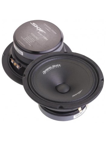 Автоакустика Dynamic State SKIF SKM-16H