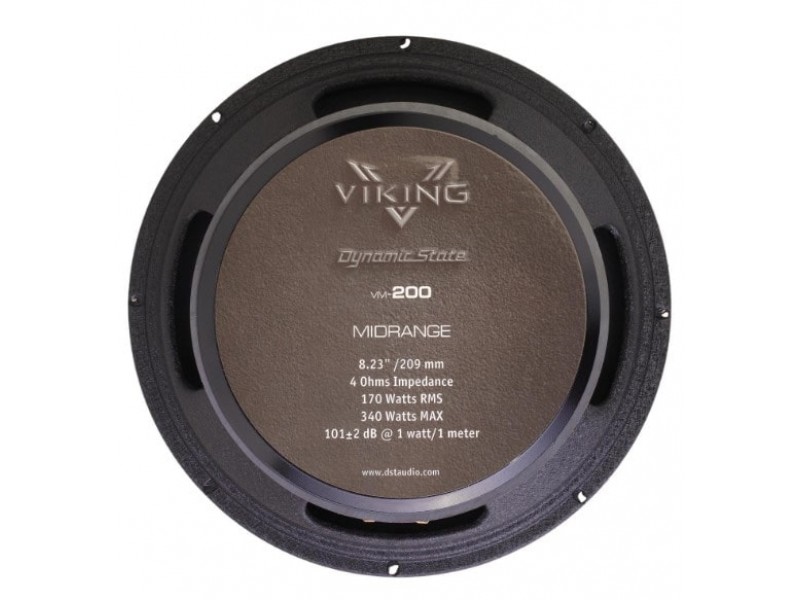 Автоакустика Dynamic State VIKING VM200 — цена, купить в Украине