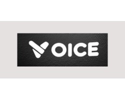 Voice