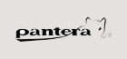 Pantera
