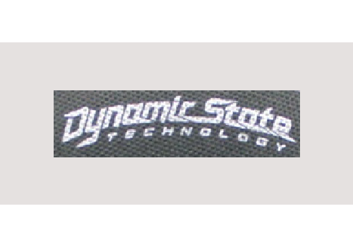 Dynamic State